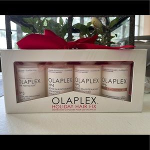 Olaplex Holiday Hair Fix